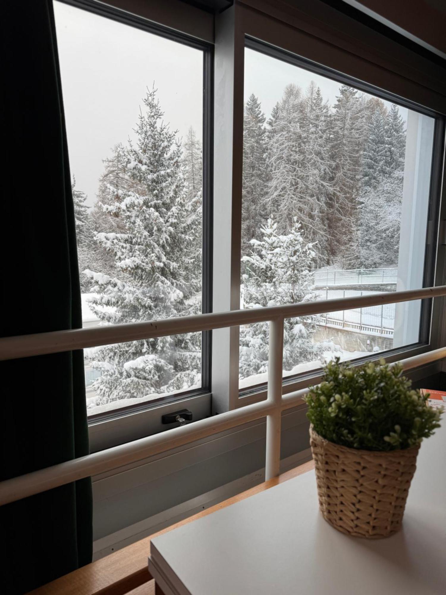 Panorama Marilleva 1400 - Val Di Sole Apartment Екстериор снимка