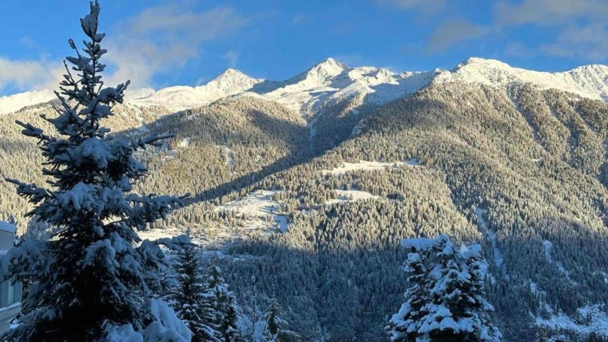 Panorama Marilleva 1400 - Val Di Sole Apartment Екстериор снимка